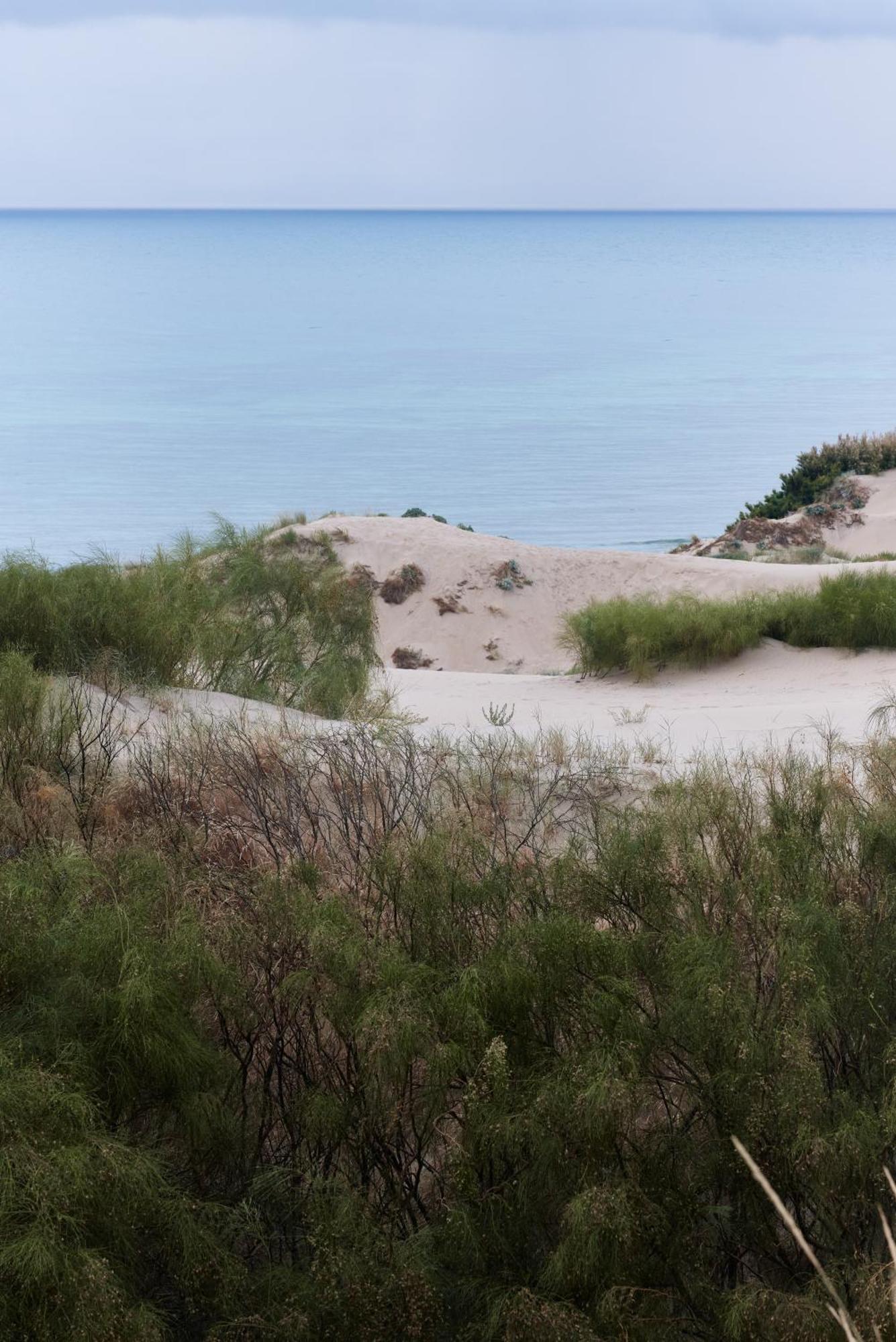 Taiga Punta Paloma Kemping *