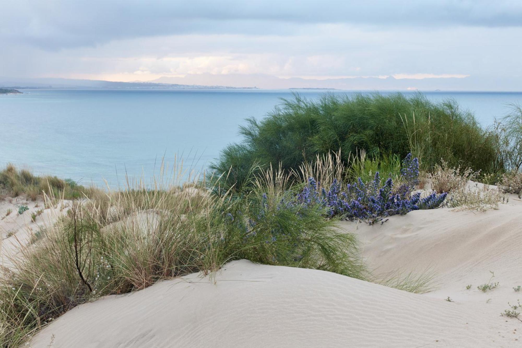 Taiga Punta Paloma Kemping Tarifa