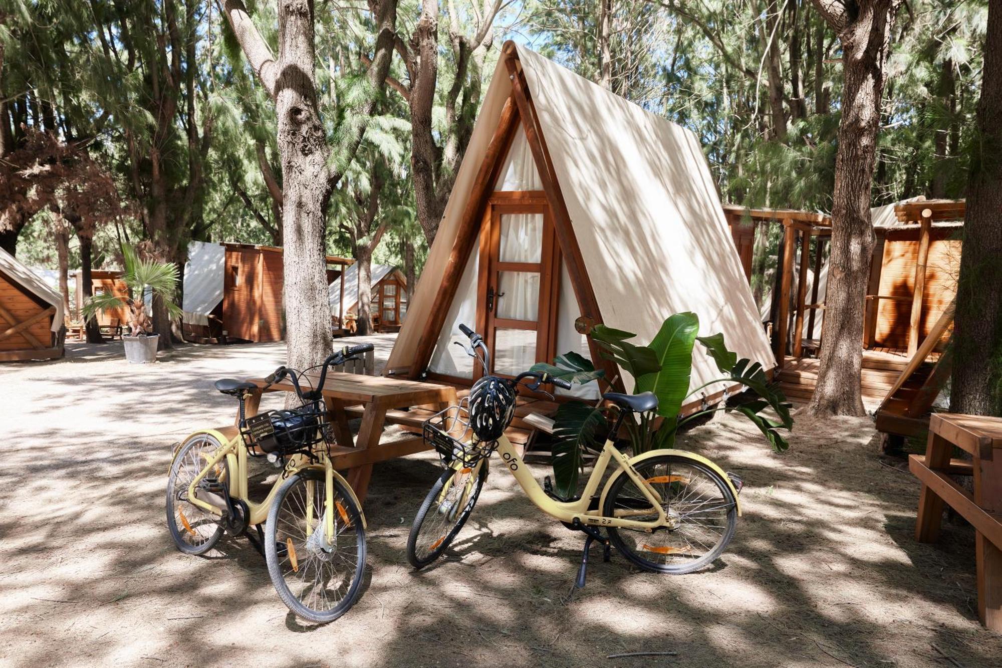 Camping Taiga Punta Paloma